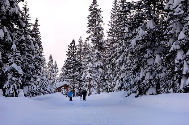 istock Skiers Walking to the Top of A Hill 172704708