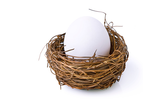 A nest egg on white