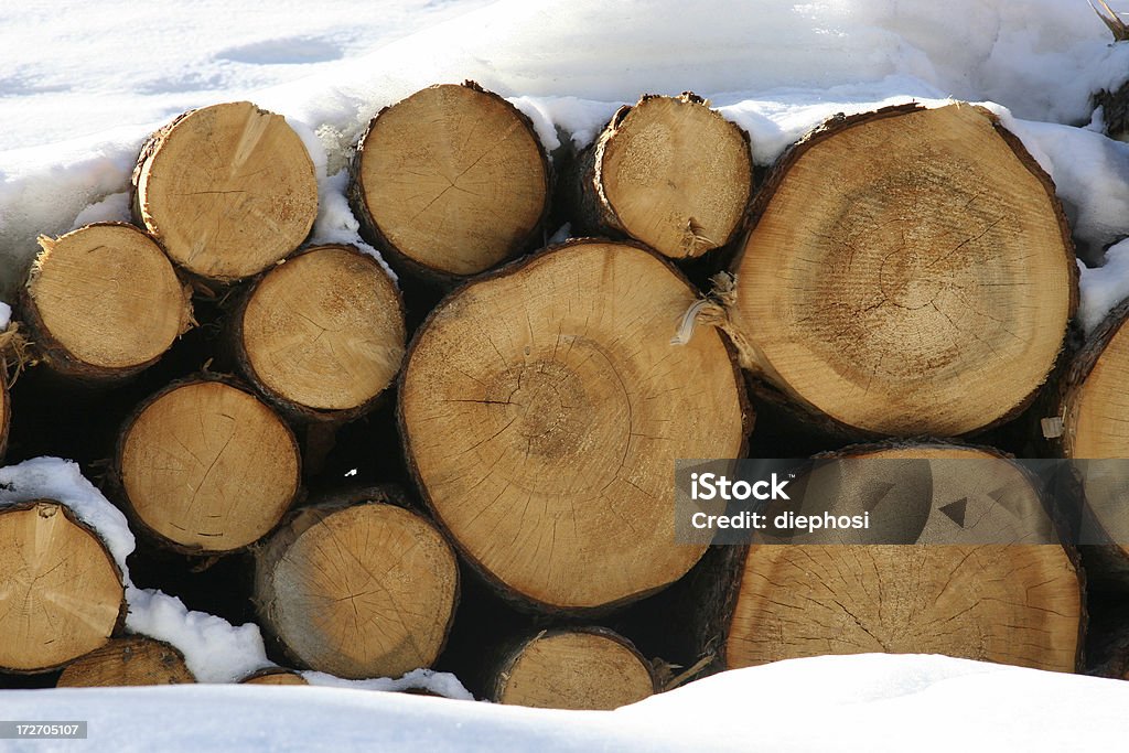 Holzstapel - Foto de stock de Anillo de árbol libre de derechos