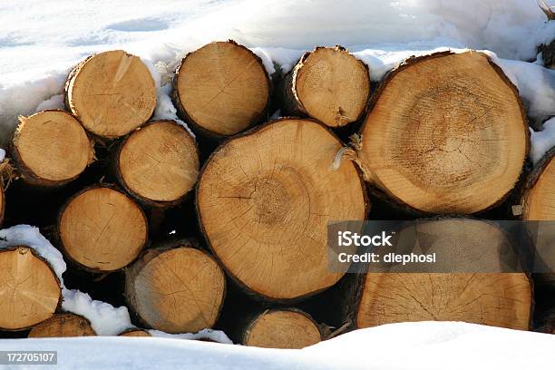 Holzstapel 0명에 대한 스톡 사진 및 기타 이미지 - 0명, 갈색, 건축자재