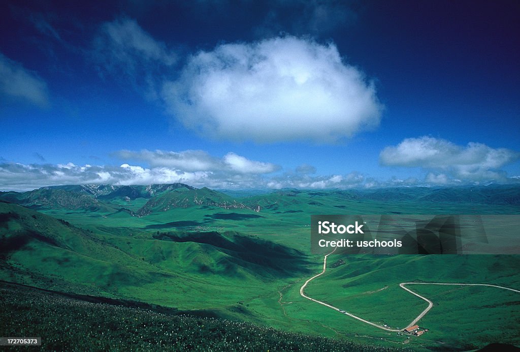 Road que s'extiende a lejanos horizonte en gran grassland - Foto de stock de Aislado libre de derechos