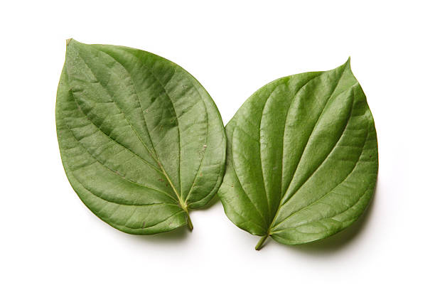 A close-up photo of a betel leaf with a few betel nuts resting on a luxurious emerald green saree