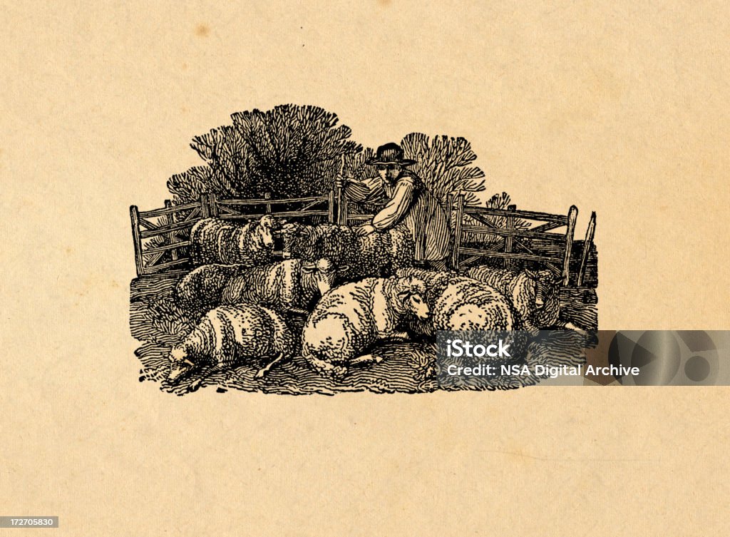 Sheppard avec sheeps - Illustration de Gardien de moutons libre de droits