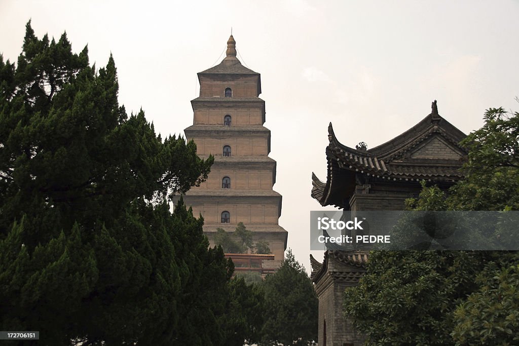 Giant Wild Goose Pagoda - Zbiór zdjęć royalty-free (Bez ludzi)