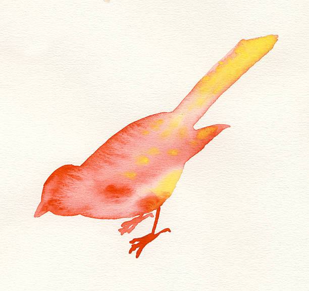 Painted red and yellow watercolor bird stock photo