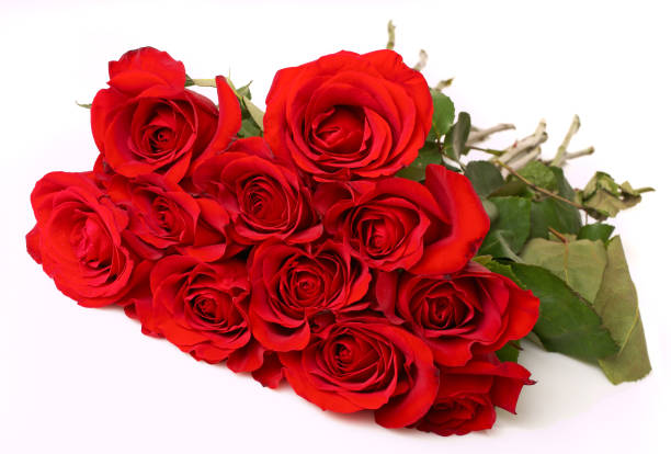 istock Bouquet of Roses 172706381