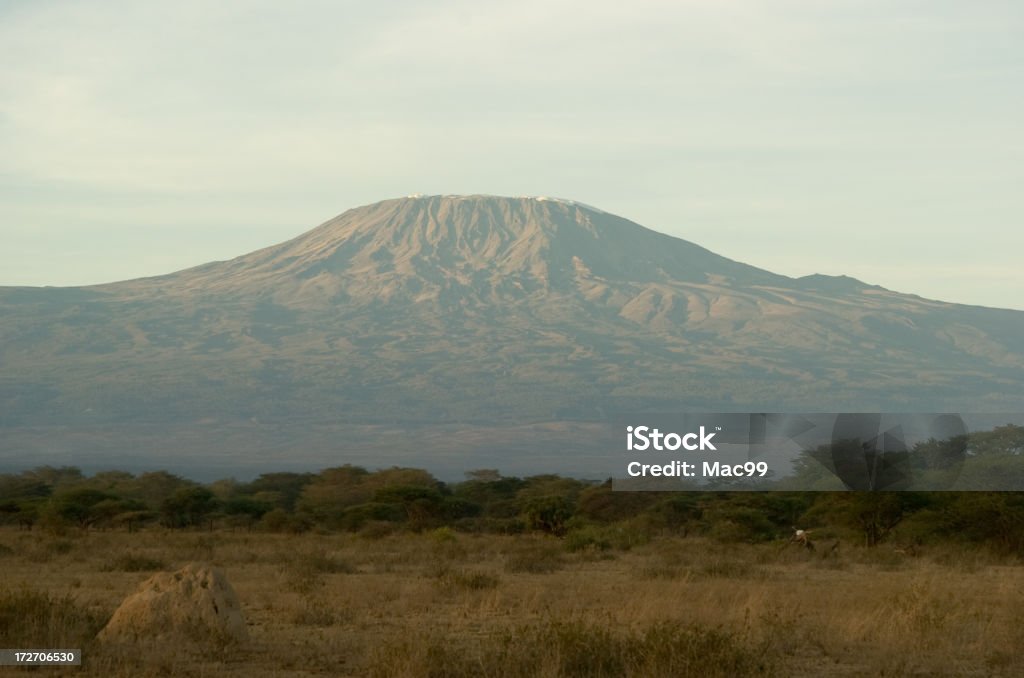 Kilimanjaro Mt Kilimanjaro Stock Photo