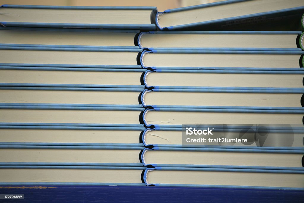 山のブルーの書店で書籍 - ひらめきのロイヤリティフリーストックフォト