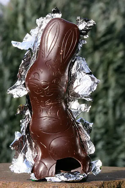 a damaged chocolate Easter bunny unpacked