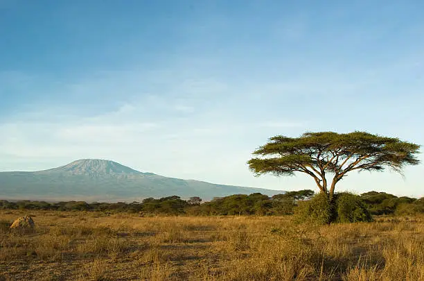 Photo of Kilimanjaro