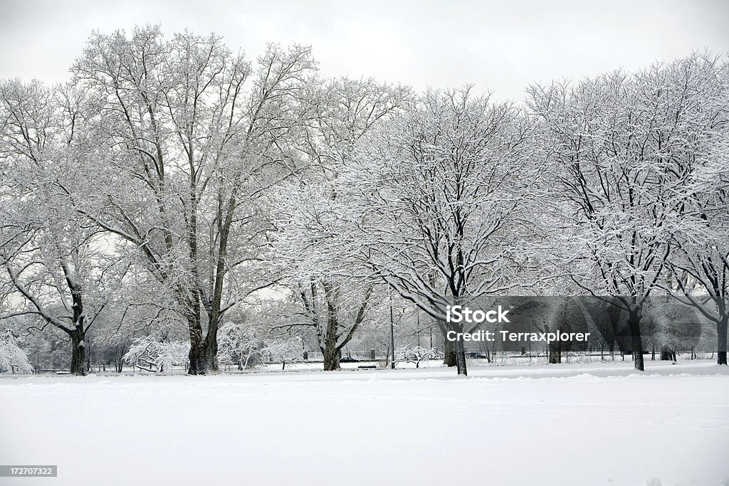 Schneebedeckte Park - Lizenzfrei Abwesenheit Stock-Foto