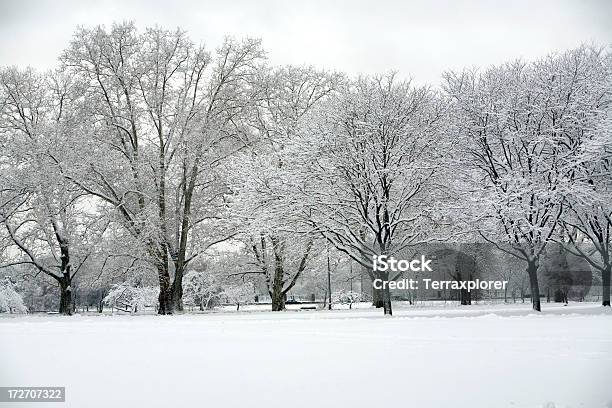 Schneebedeckte Park Stockfoto und mehr Bilder von Abwesenheit - Abwesenheit, Baum, Boston