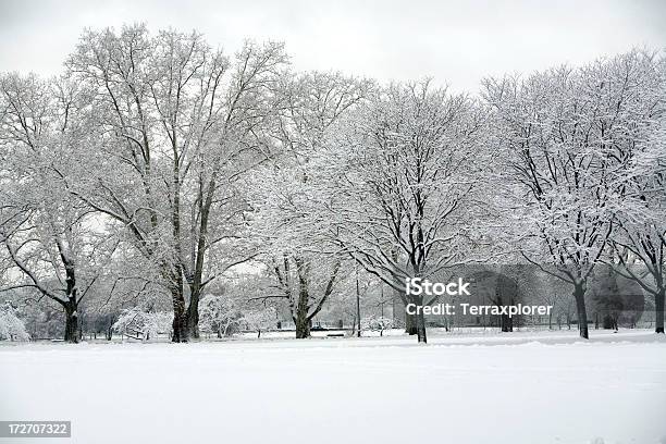 雪に覆われた公園 - アイビーリーグのストックフォトや画像を多数ご用意 - アイビーリーグ, カラー画像, ハーバード大学