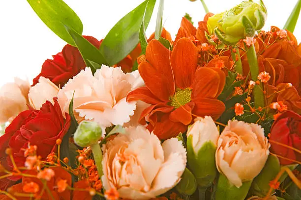 Photo of flower bouquet close-up on white background