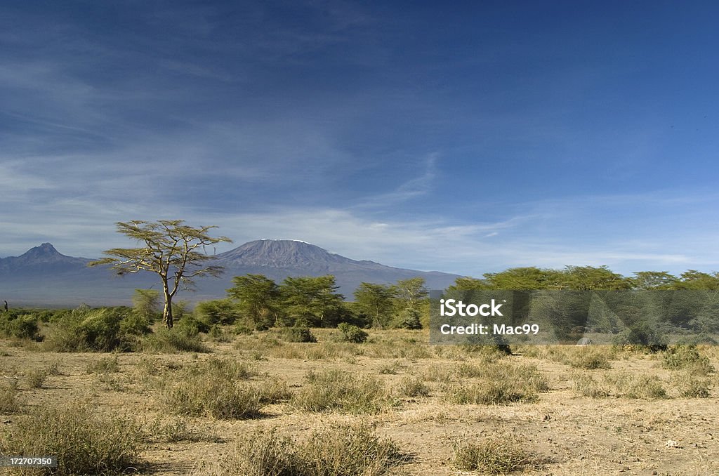 Kilimanjaro - Foto stock royalty-free di Africa