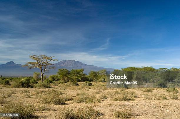 Kilimanjaro - Fotografie stock e altre immagini di Africa - Africa, Ambientazione esterna, Ambiente