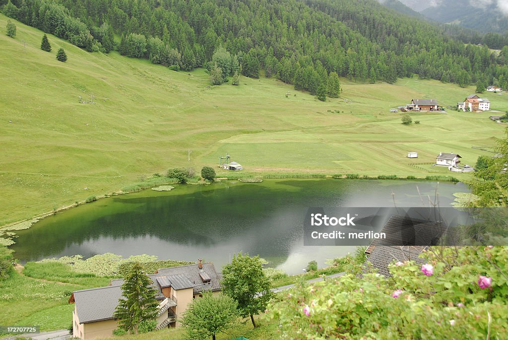 Paesaggio in Svizzera - Foto stock royalty-free di Abete