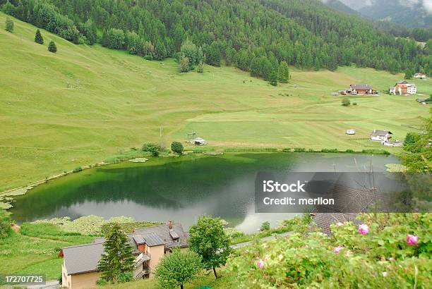 Paesaggio In Svizzera - Fotografie stock e altre immagini di Abete - Abete, Acqua, Albero