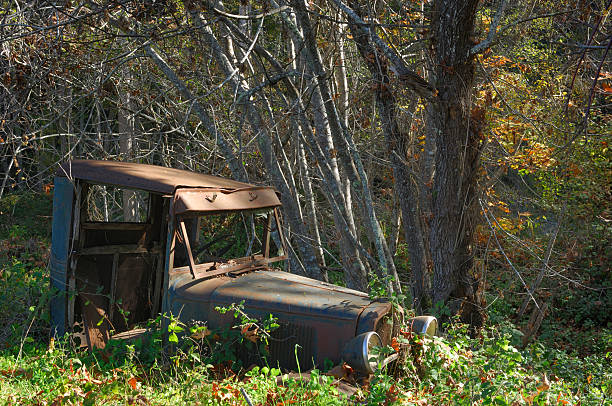 istock Abandoned Old Truck In Woods 172707865