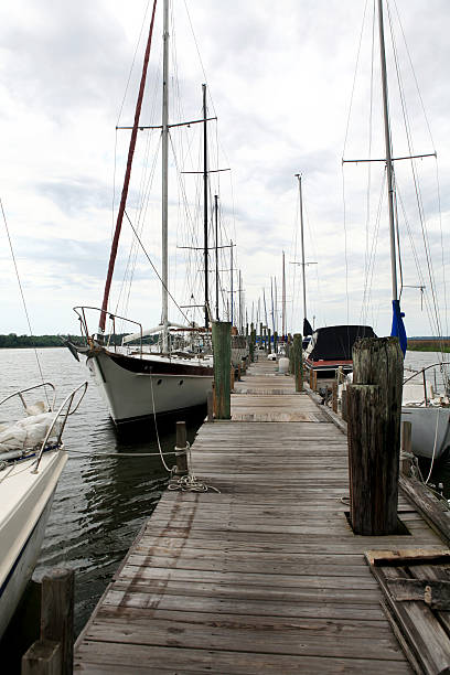 istock Long Boat Pier Georgia Dock 172707932