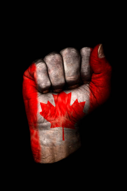 istock Canadian Fist 172708119