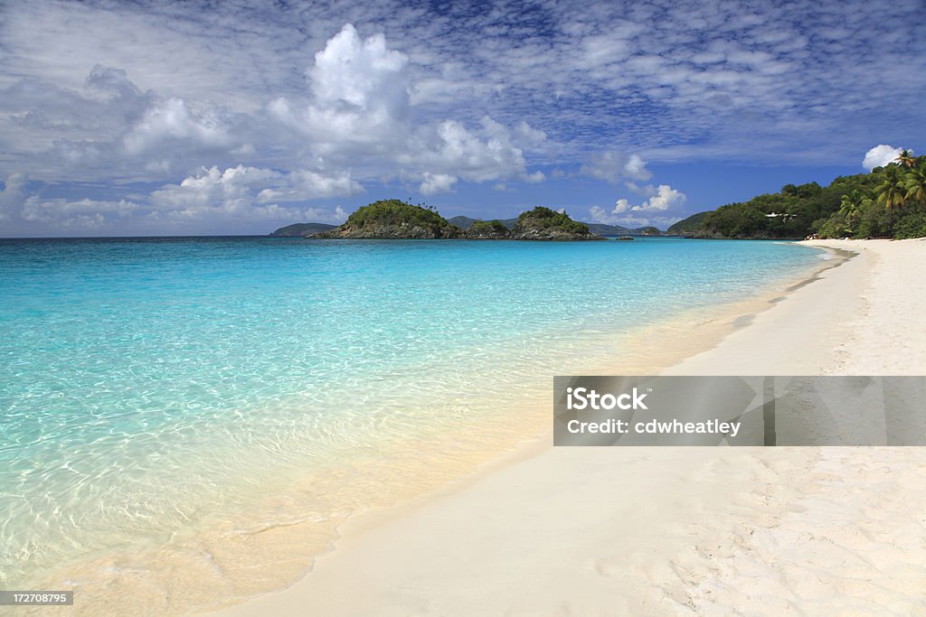 Strand von Trunk Bay, St. John, Amerikanische Jungferninseln - Lizenzfrei Baum Stock-Foto