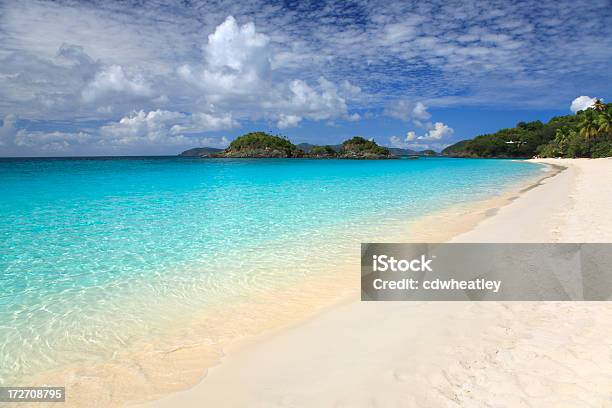 Strand Von Trunk Bay St John Amerikanische Jungferninseln Stockfoto und mehr Bilder von Baum