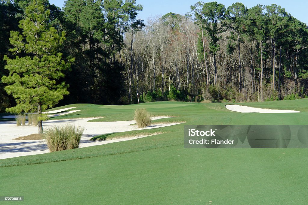 Golf-Fairway, Sandbunker, & Green - Lizenzfrei Baum Stock-Foto