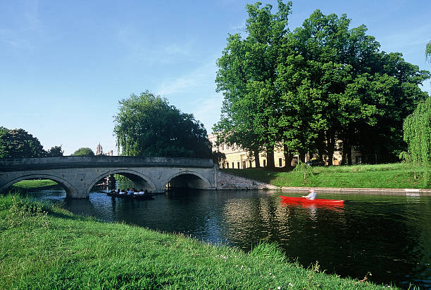 istock Punting in Cam River at Trinity College, Cambridge University 172708840