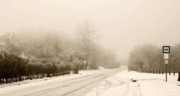 Bus stop in foggy winter environment somewhere in Hungary. Toned image.