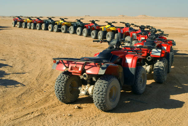 istock Safari with quadricycles. 172709260