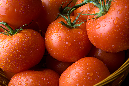 Fresh and ripe tomatoes straight from the vine.