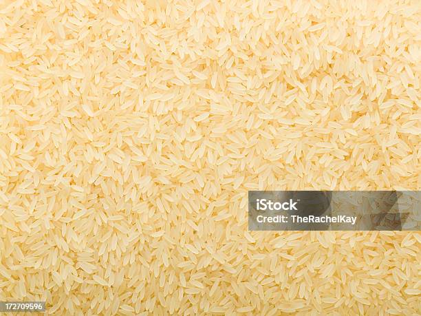 풍성한 걸리죠 낟알 Rice 0명에 대한 스톡 사진 및 기타 이미지 - 0명, 건강한 식생활, 곡초류