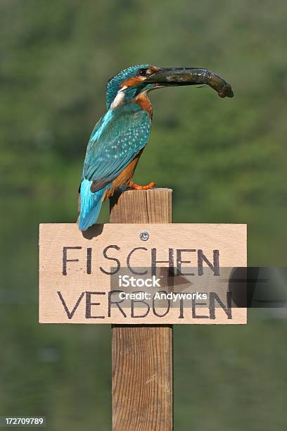 Analphabeten Stockfoto und mehr Bilder von Angeln verboten - Angeln verboten, Blau, Bunt - Farbton