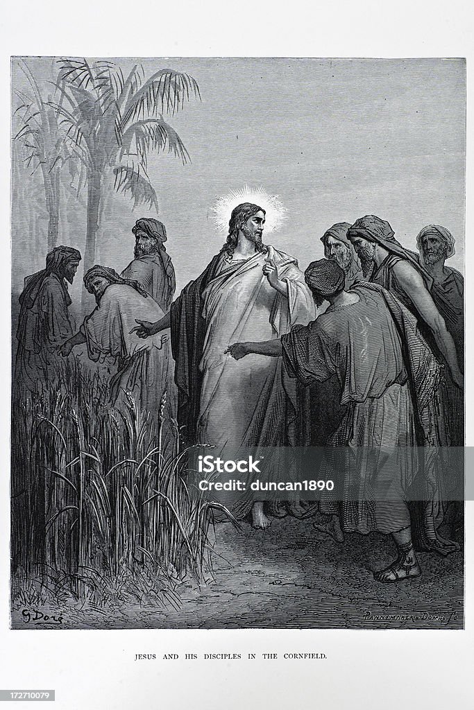 Jesus and his Disciples "Jesus and his Disciples in the cornfield. Engraving from 1870. Engraving by Gustave Dore, Photo by D Walker." 19th Century stock illustration