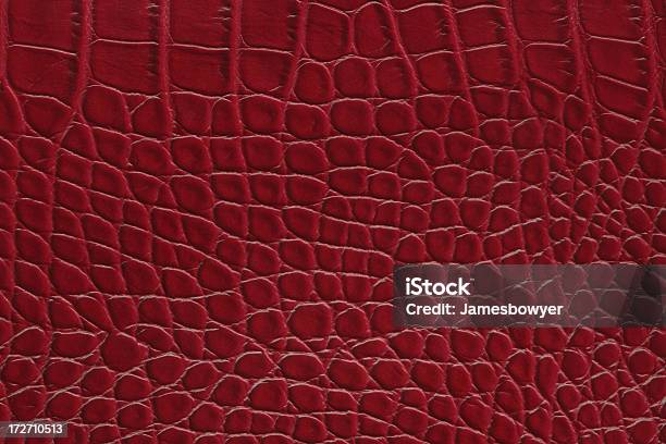 Rotes Leder Stockfoto und mehr Bilder von Alligator - Alligator, Bildhintergrund, Leder