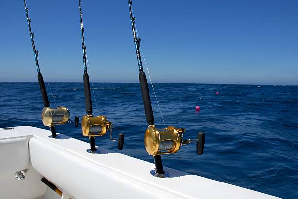 istock Three Fishing Rods and Reels 172710854