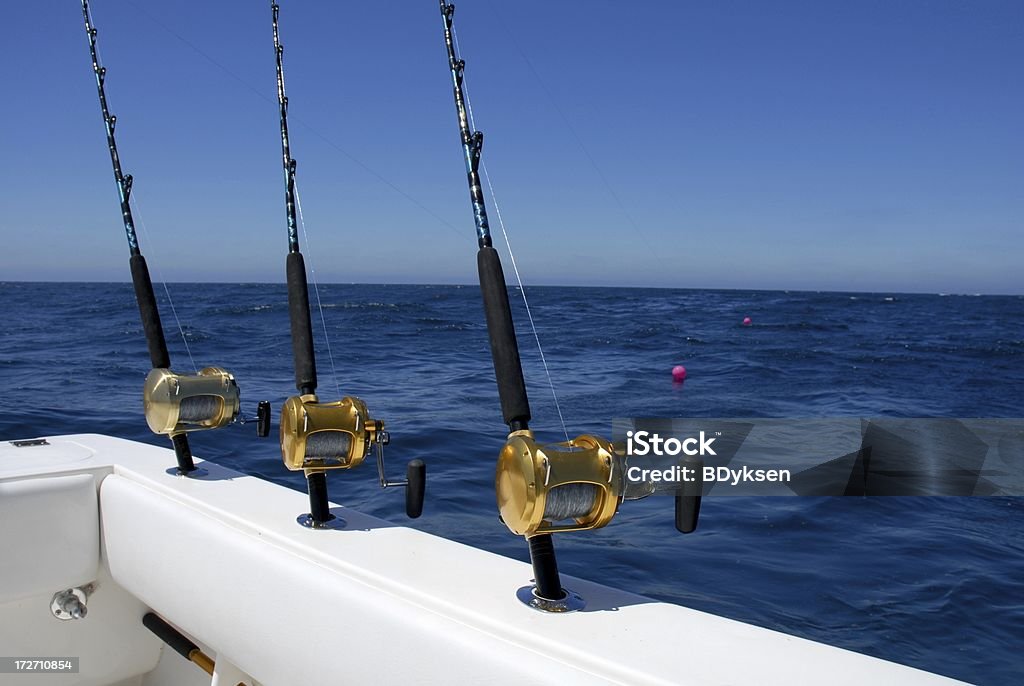 Three Fishing Rods And Reels Stock Photo - Download Image Now - Animal,  Blue, Catching - iStock