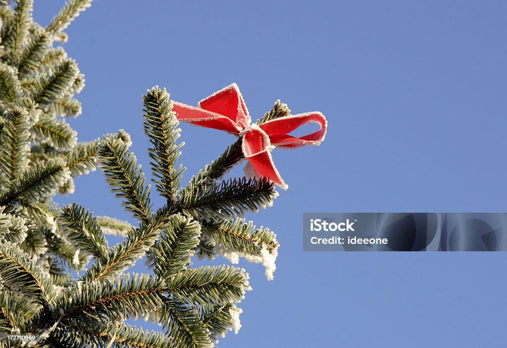 Frosty ruban - Photo de Arbre libre de droits