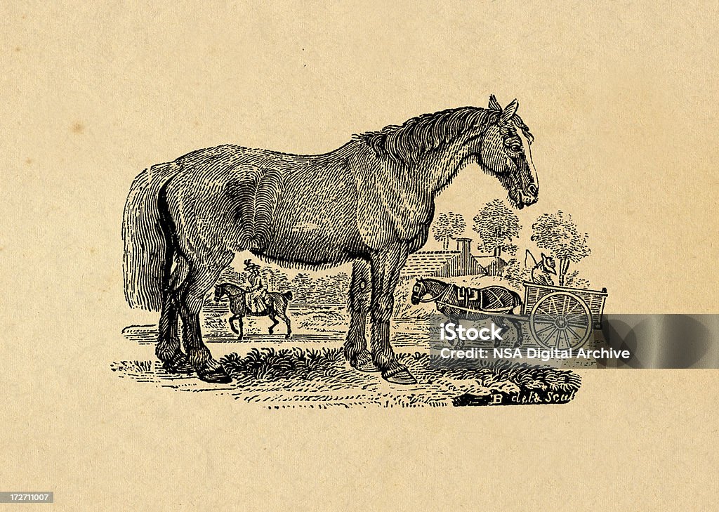 Cavalo - Royalty-free Animal Ilustração de stock