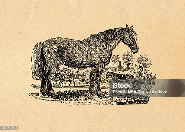 Cavalo - Arte vetorial de stock e mais imagens de Animal - Animal, Antigo, Antiguidade