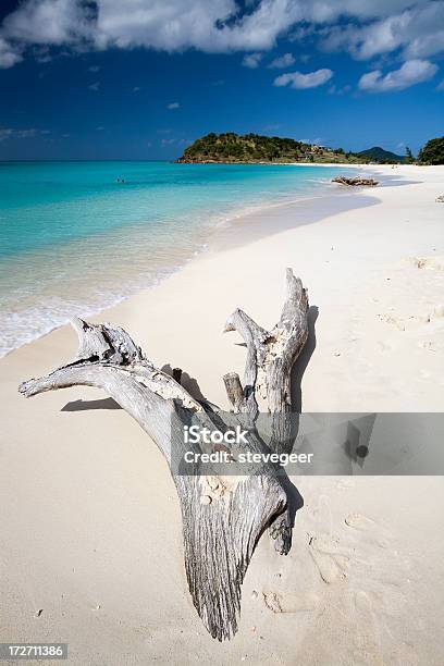 Driftwood A Ffryes Bay Antigua - Fotografie stock e altre immagini di Antigua - Isole Leeward - Antigua - Isole Leeward, Caraibi, Cielo