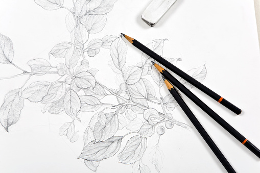 Sketch of a leafy branch in a sketchbook with three pencils