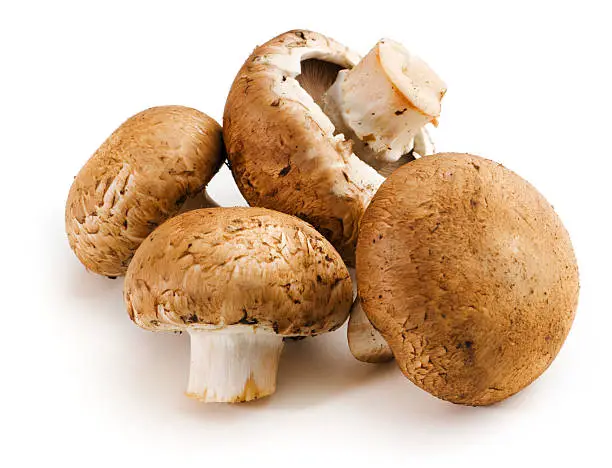 Baby Portabello mushrooms, a group of four fresh raw vegetables that are a food ingredient of gourmet meals. Isolated on a white background
