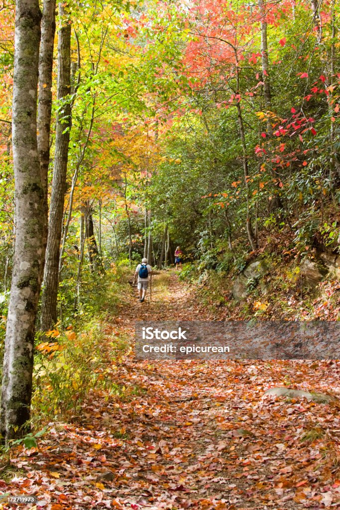 Camminare nei boschi - Foto stock royalty-free di Autunno