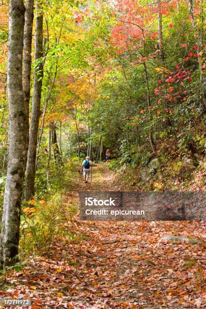 Foto de Caminhada Na Floresta e mais fotos de stock de Bosque - Floresta - Bosque - Floresta, Carolina do Norte - Estado dos EUA, Outono