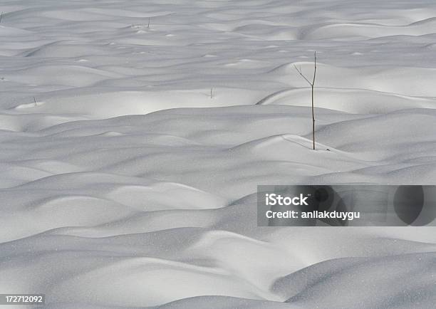 Foto de Neve Seca E Solta e mais fotos de stock de Bolu - Cidade - Bolu - Cidade, Branco, Campo