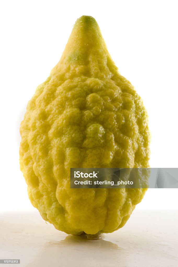 Perfetta Esrog - Foto stock royalty-free di Citrus medica