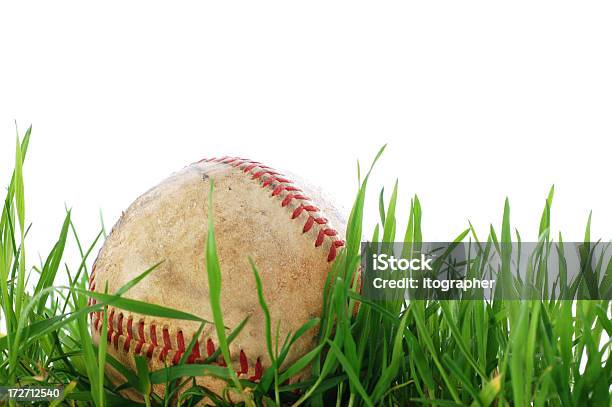 Baseball Im Outfield Stockfoto und mehr Bilder von Baseball - Baseball, Baseball-Frühjahrstraining, Baseball-Liga
