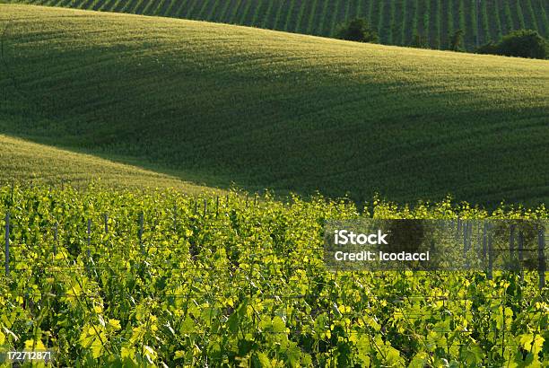 Valdorcia Stock Photo - Download Image Now - Agricultural Field, Agriculture, Autumn